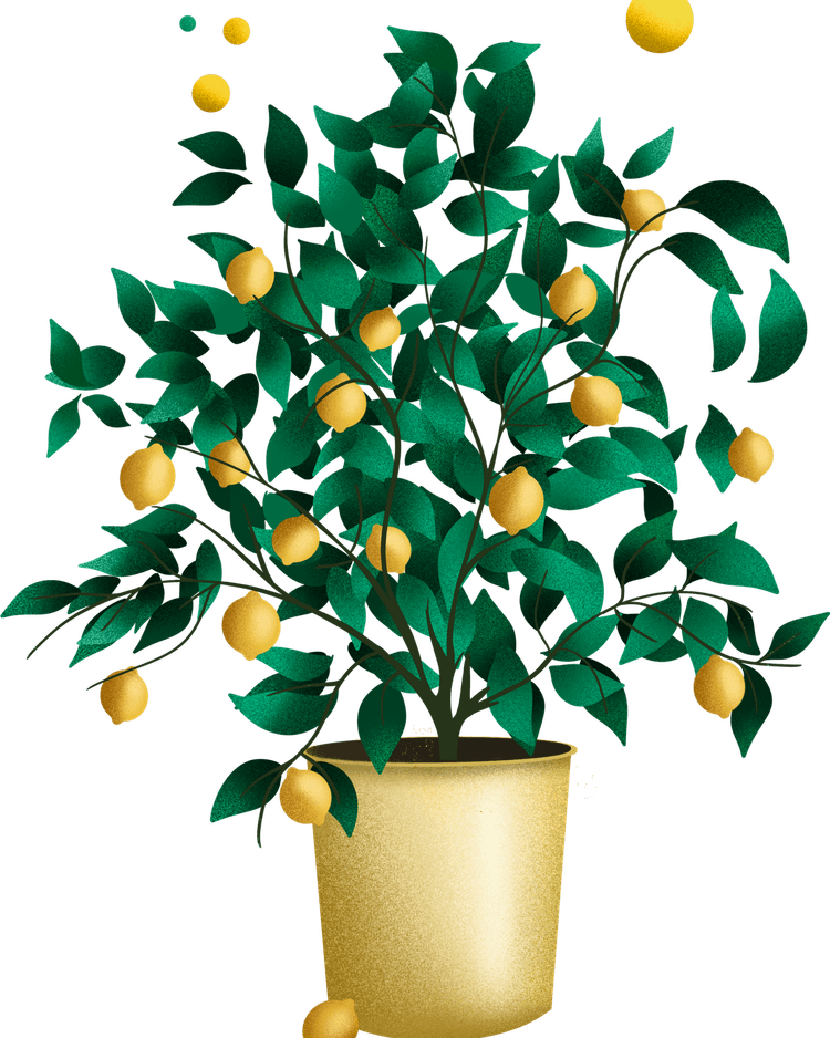 Lemon Tree PNG