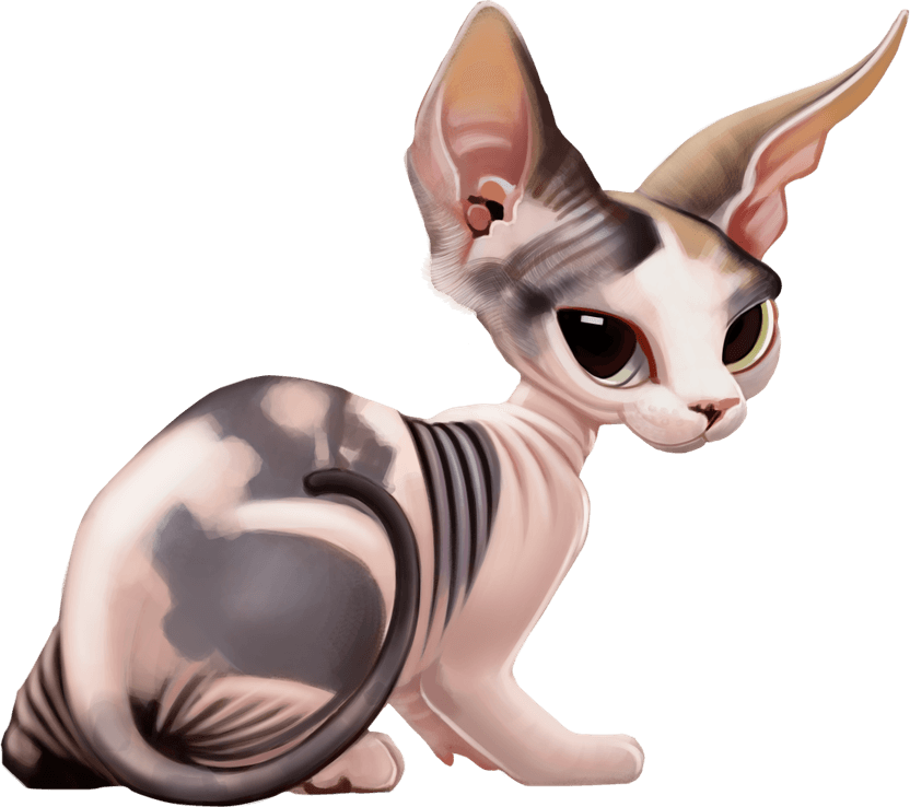 Sphynx Cat PNG