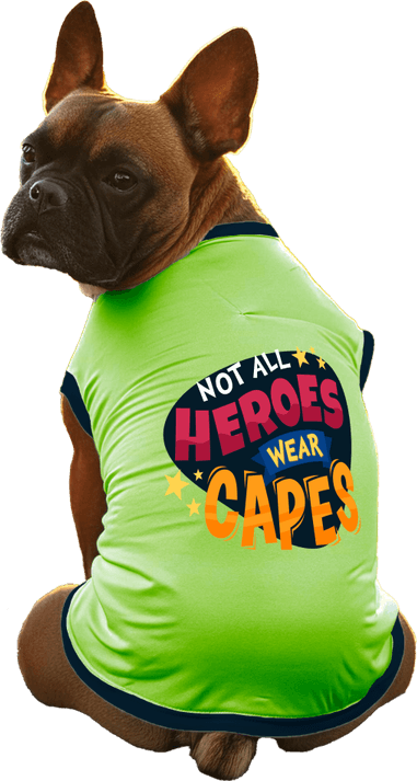Superhero Dog PNG