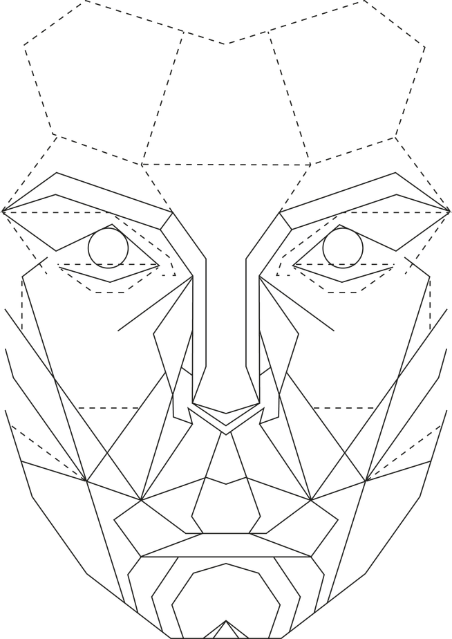 Perfect Face Template PNG