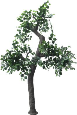 3d Tree PNG