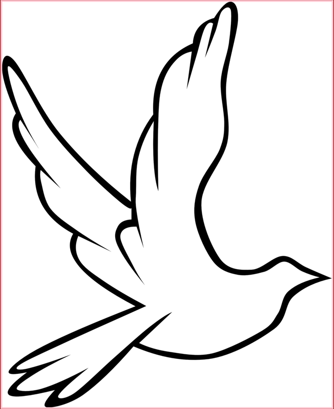 Holy Spirit PNG