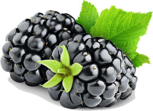 Blackberry Fruit PNG