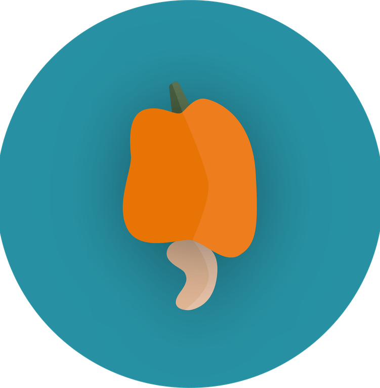 Cashew Apple PNG