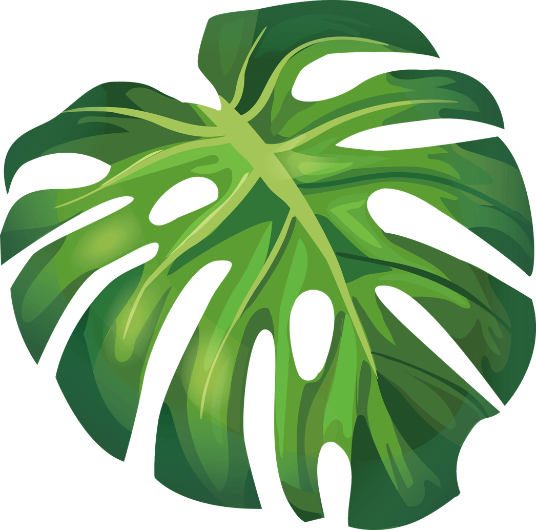 Aesthetic Leaf PNG