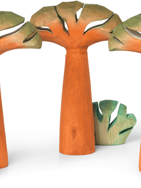 Baobab Tree PNG