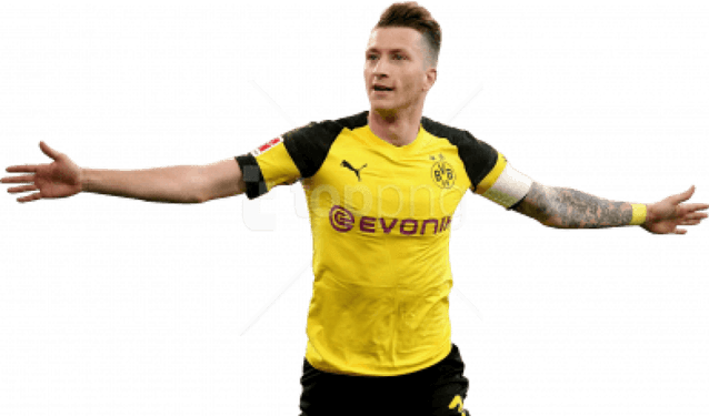 Reus PNG