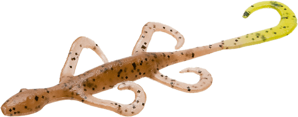 Worm Lizards PNG