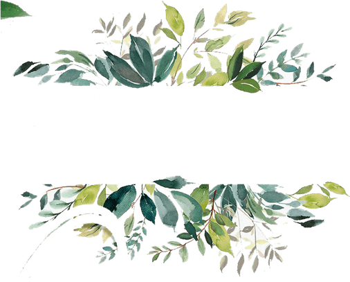 Leaf Frame PNG