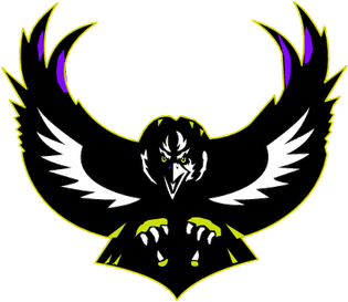 Baltimore Ravens PNG