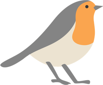Cute Bird PNG