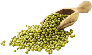 Mung Bean PNG