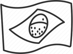 Brasilia Flag PNG