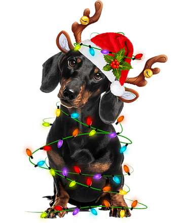 Dachshund Christmas PNG
