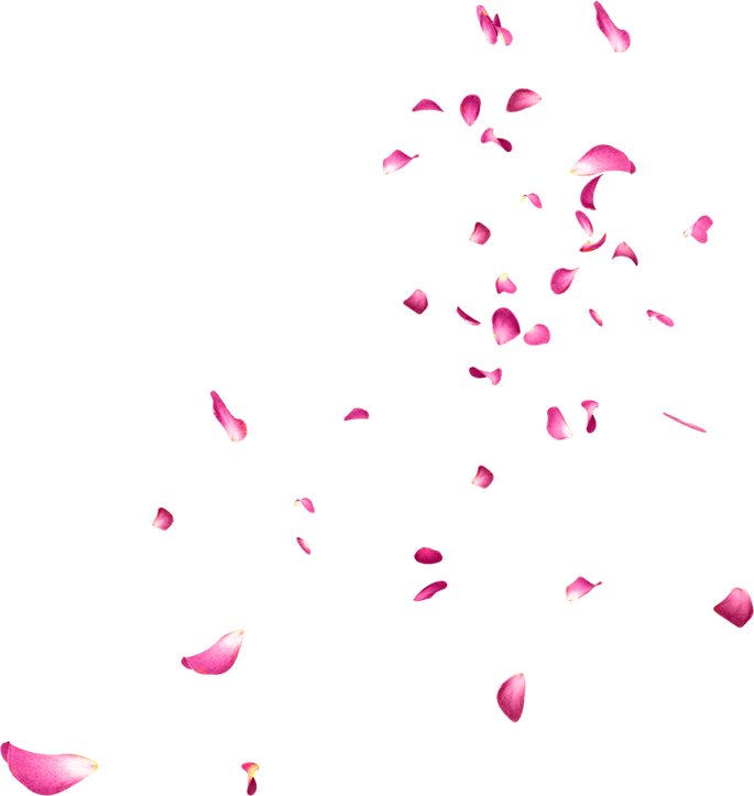 Falling Rose PNG