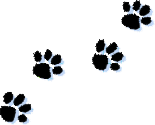 Paw Print PNG