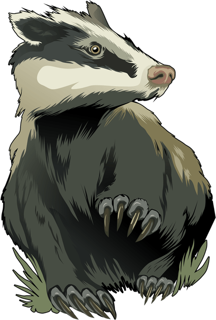 Stink Badgers PNG