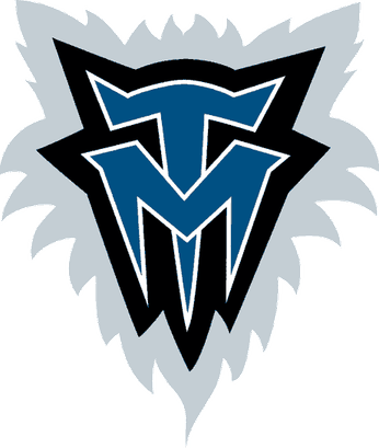 Minnesota Timberwolves Logo PNG