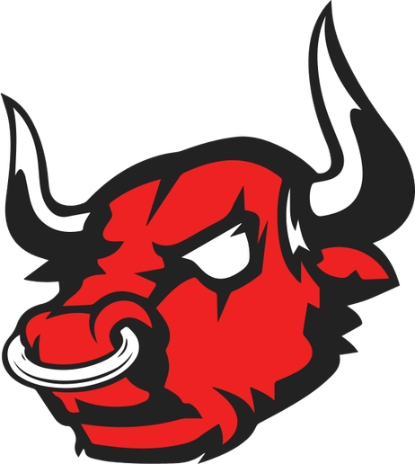 Raging Bull PNG
