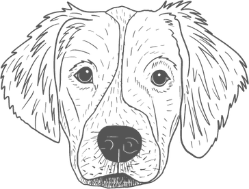 Scared Dog PNG