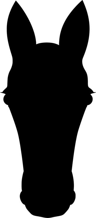 Horse Skull PNG