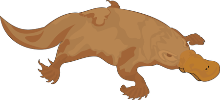 Platypus PNG