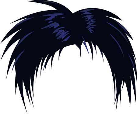 Cartoon Hair PNG