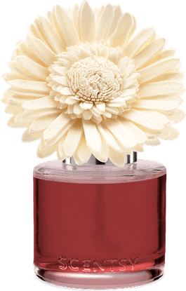 Dainty Flower PNG