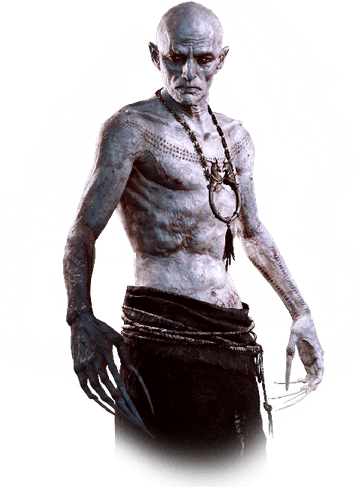 Witcher PNG