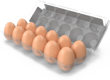 Pngegg PNG