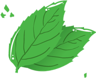 Mint Leaf PNG
