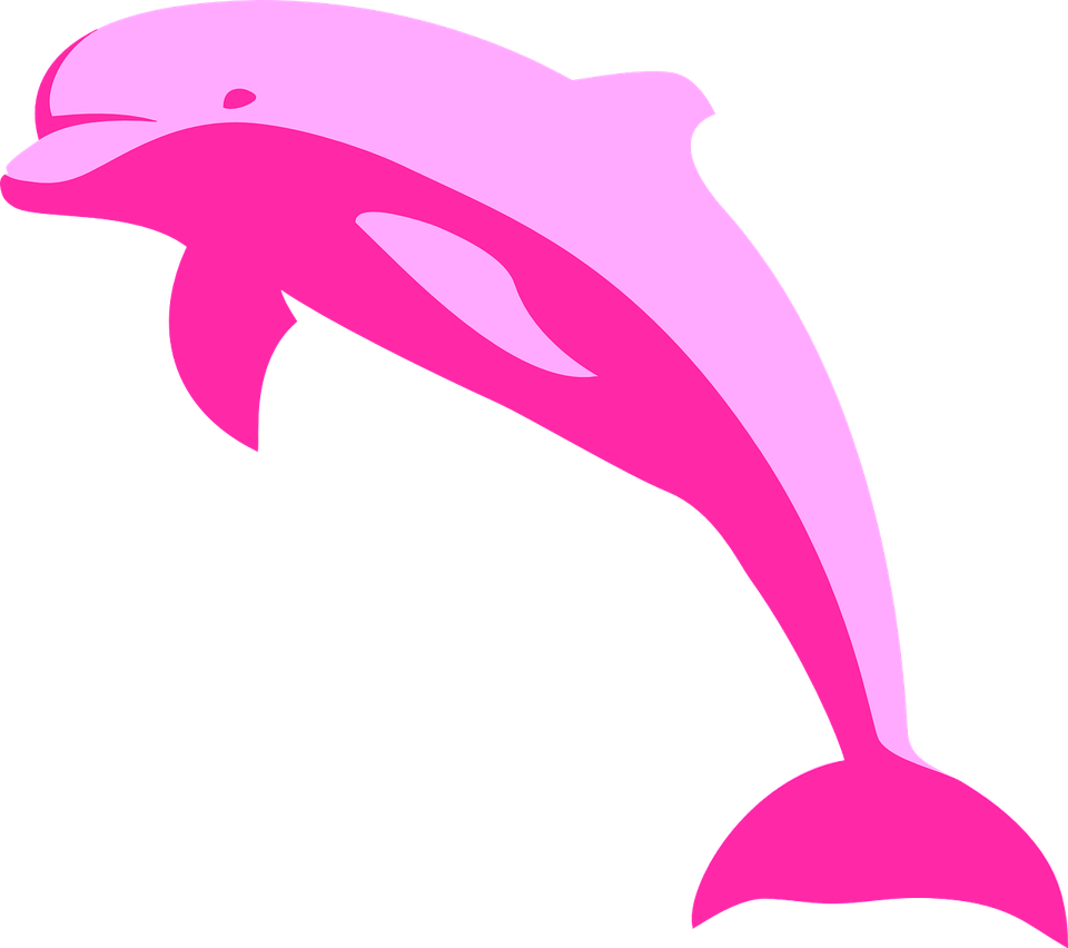 Amazon River Dolphin PNG