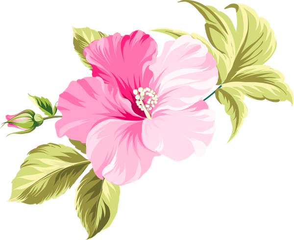 Hawaii Flower PNG
