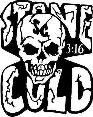 Stone Cold Skull PNG