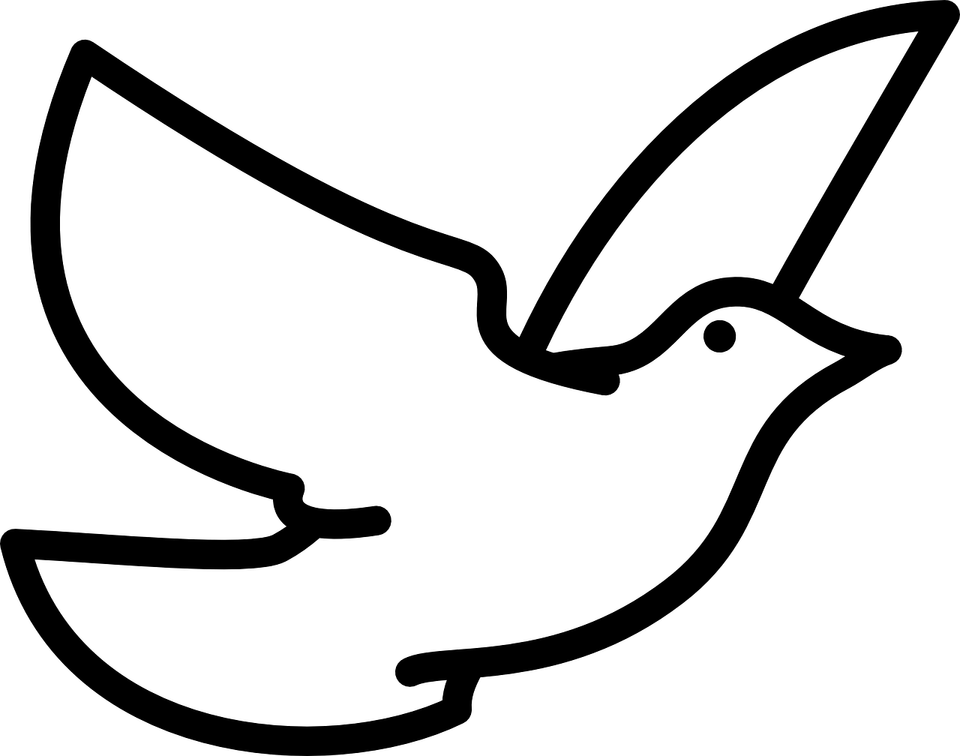 White Bird PNG