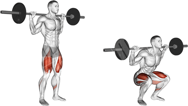 Squat PNG