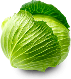 Cabbage PNG