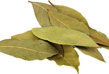 Bay Leaves PNG