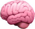 Brain Emoji PNG