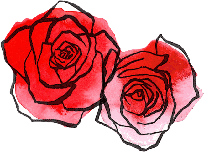 Rose Drawing PNG