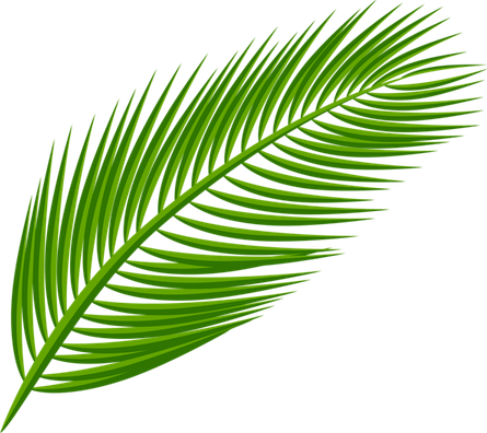 Aesthetic Leaves PNG