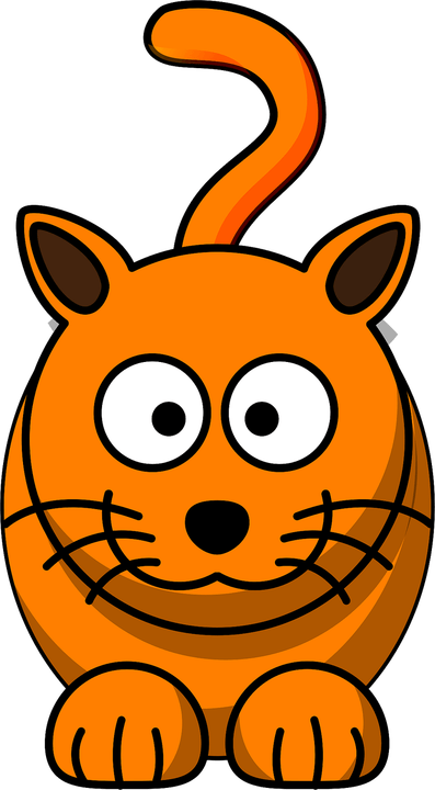 Orange Cat PNG