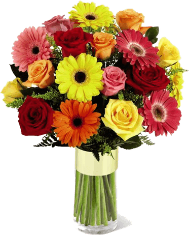 Congratulation Flower PNG