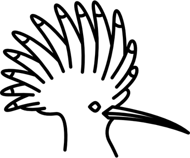 Hoopoes PNG