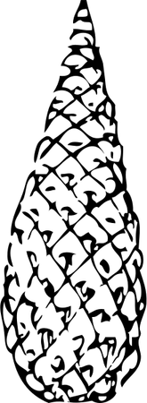 Pine Cone PNG