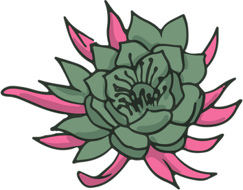 Succulent PNG