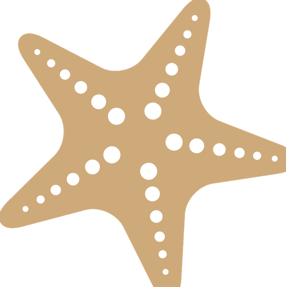 Starfish PNG