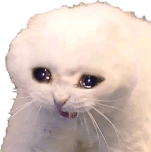 Sad Cat Memes PNG