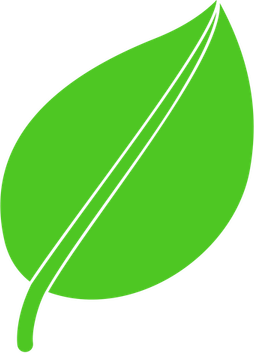 Leaf Icon PNG