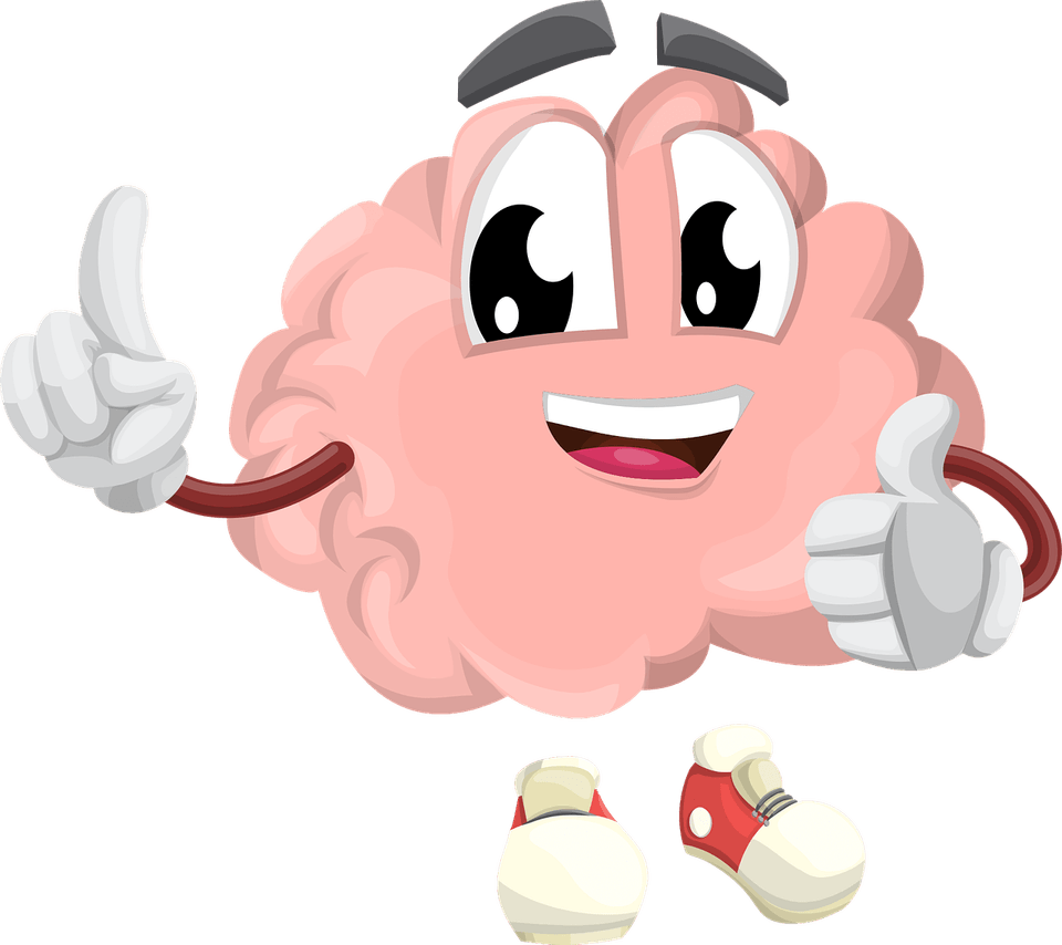 Healthy Brain PNG